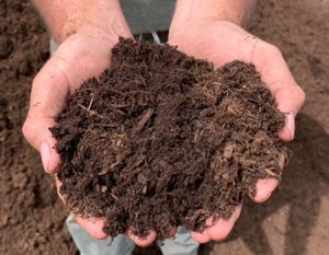 Dark-Hemlock-Mulch-Boise