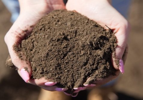 50-50-soil-blend-boise
