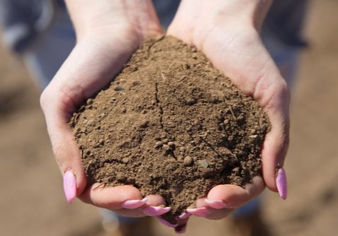 screened-top-soil-boise
