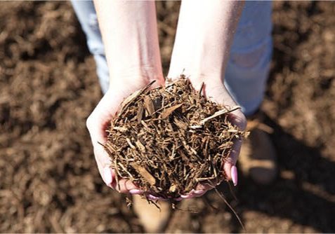 wood-chip-no1-boise